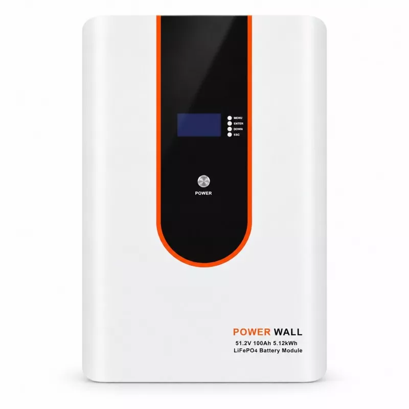Pacco batteria LiFePO4 da 51,2 V 100 Ah
